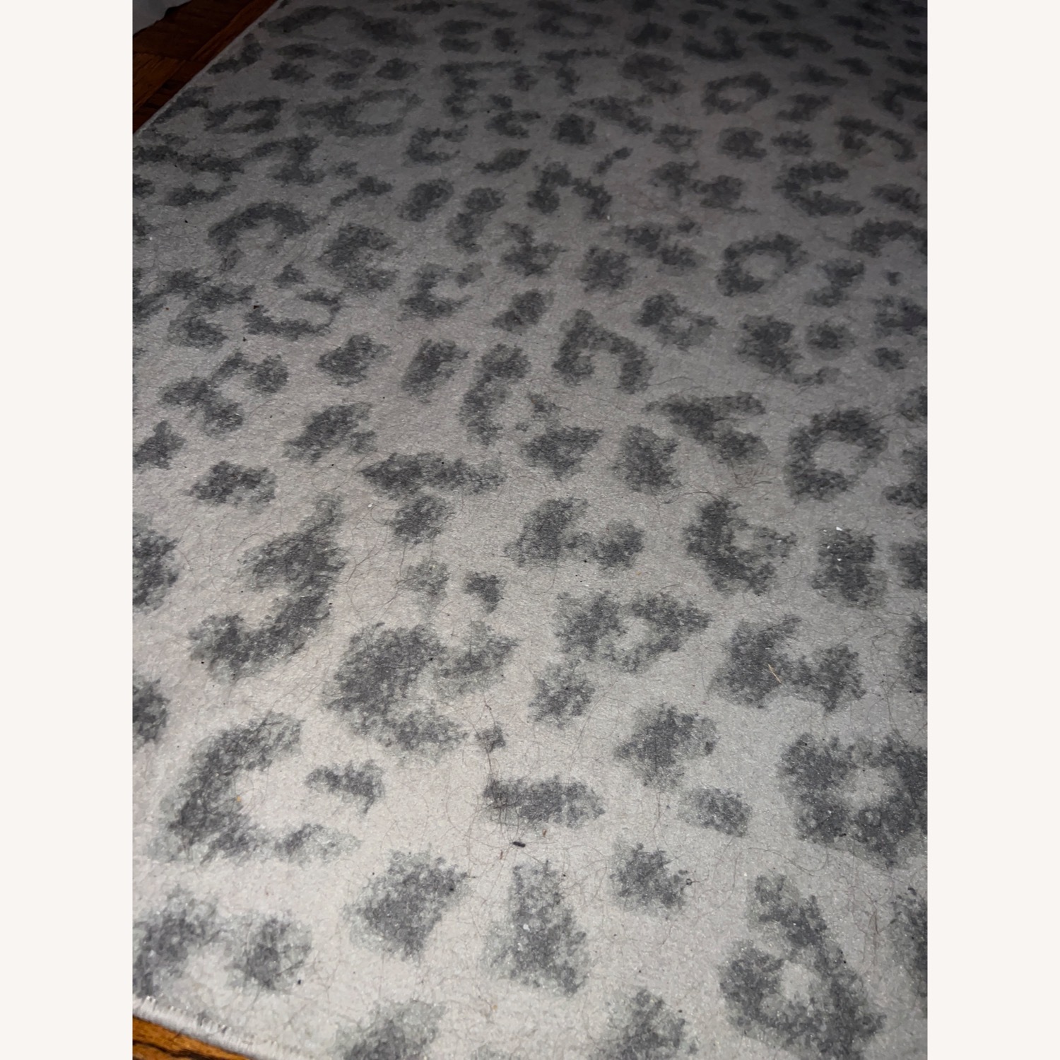 5x8" Chic Leopard Area Rug - image-3