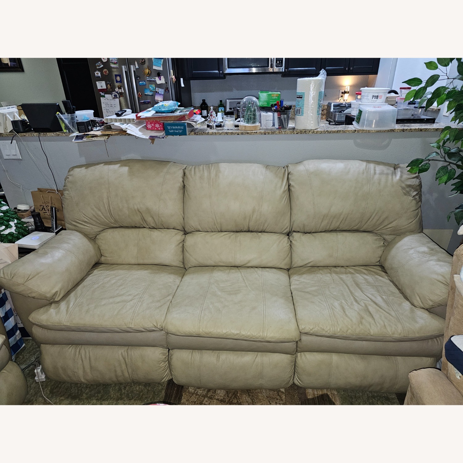 Natural Leather 3+ Seater Sofa - image-1