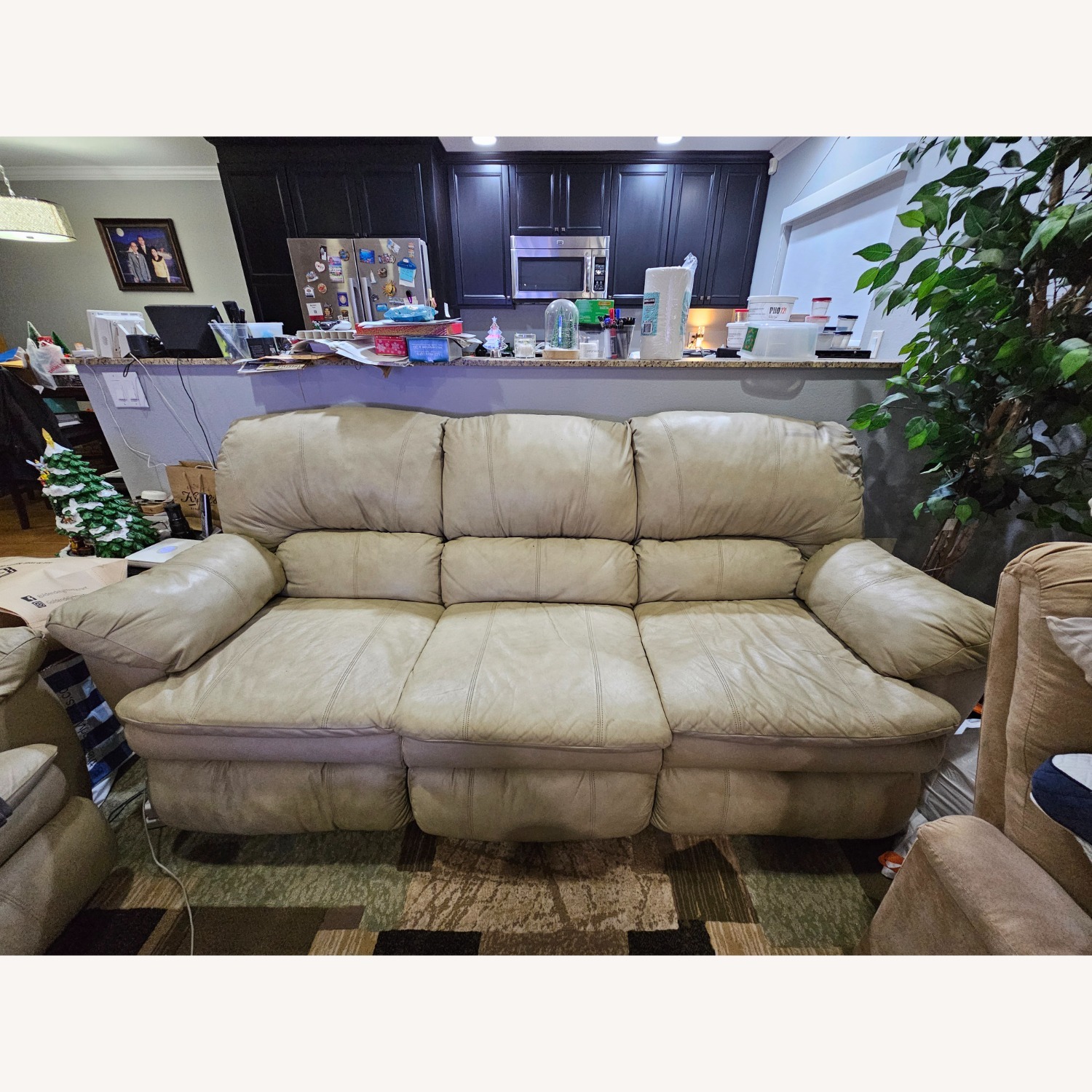 Natural Leather 3+ Seater Sofa - image-2