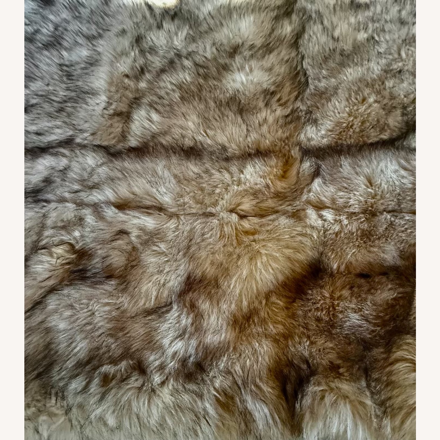 Restoration Hardware Small Rug 8' x 10' - image-2