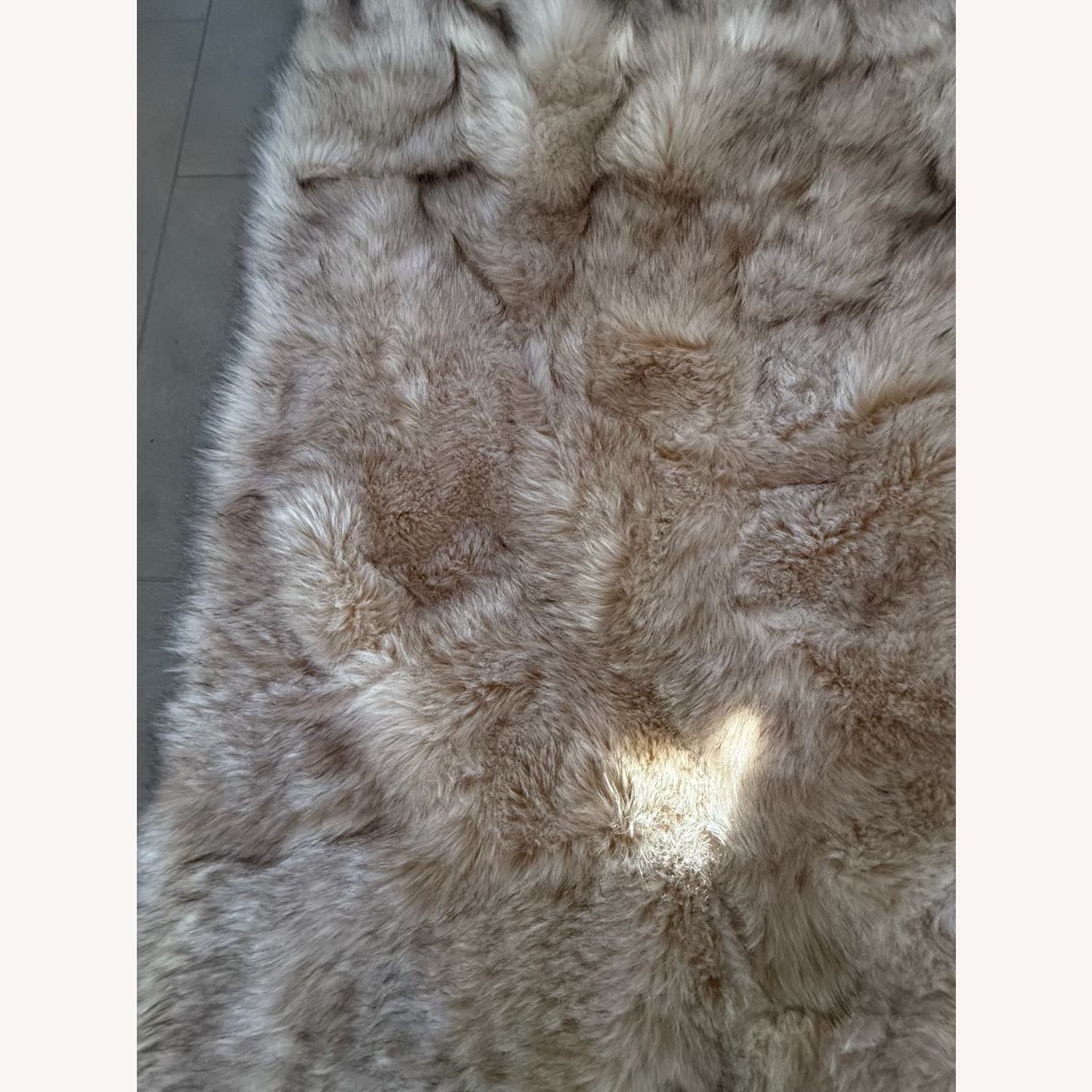 Restoration Hardware Small Rug 8' x 10' - image-4