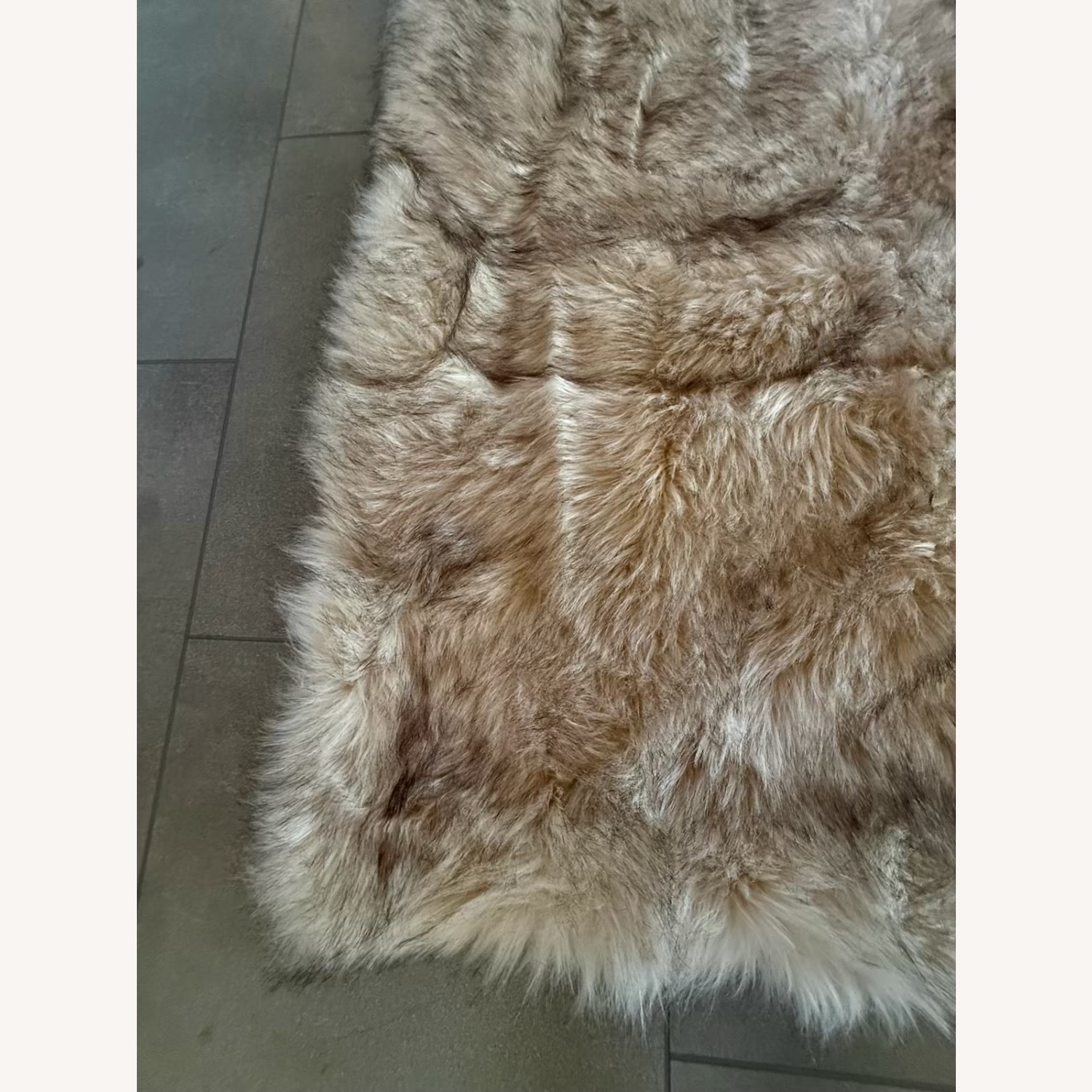 Restoration Hardware Small Rug 8' x 10' - image-1