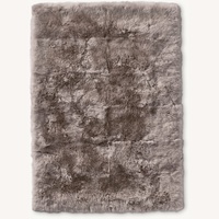 Restoration Hardware Small Rug 8' x 10'