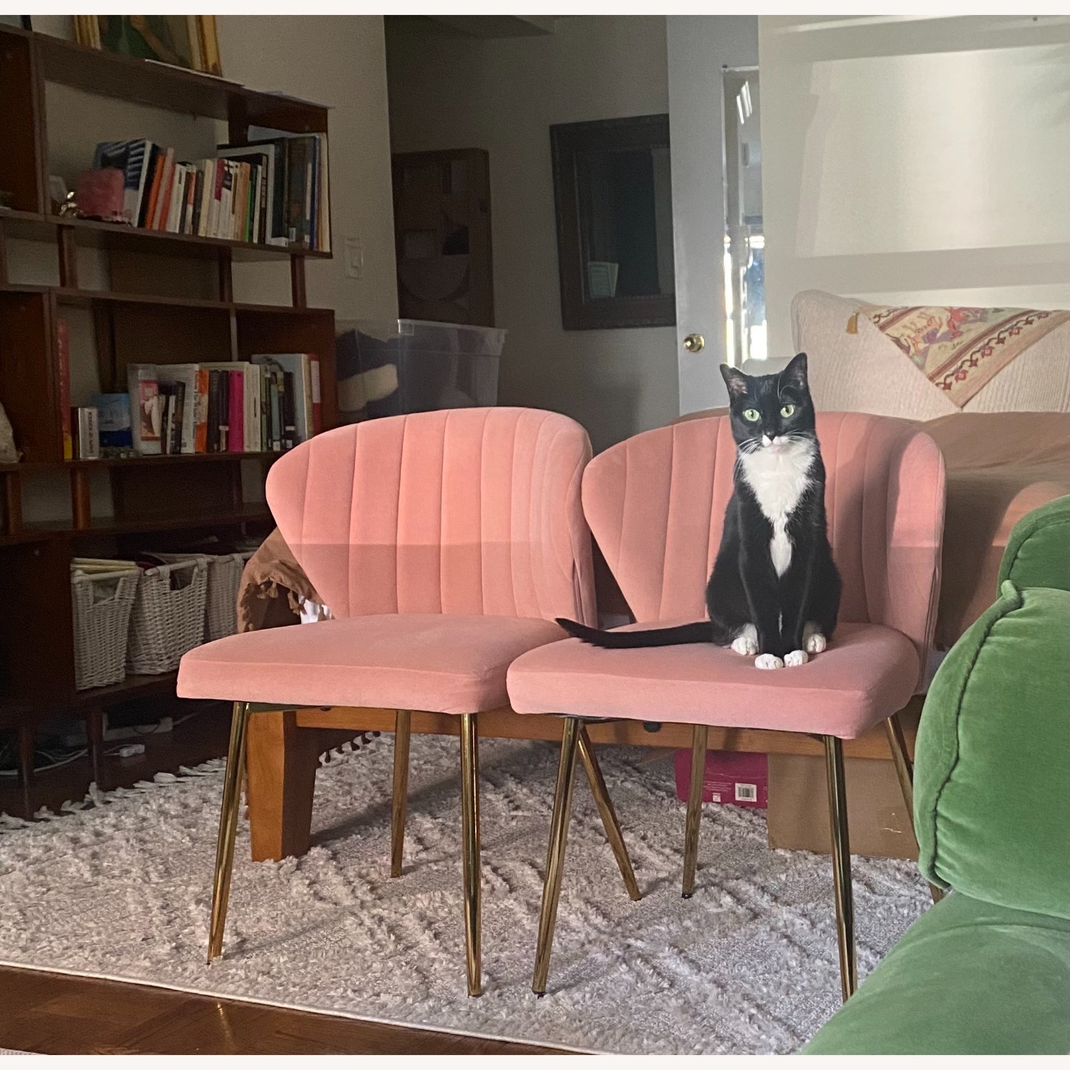 Pink Velvet Accent Chairs (set of 2) - image-2