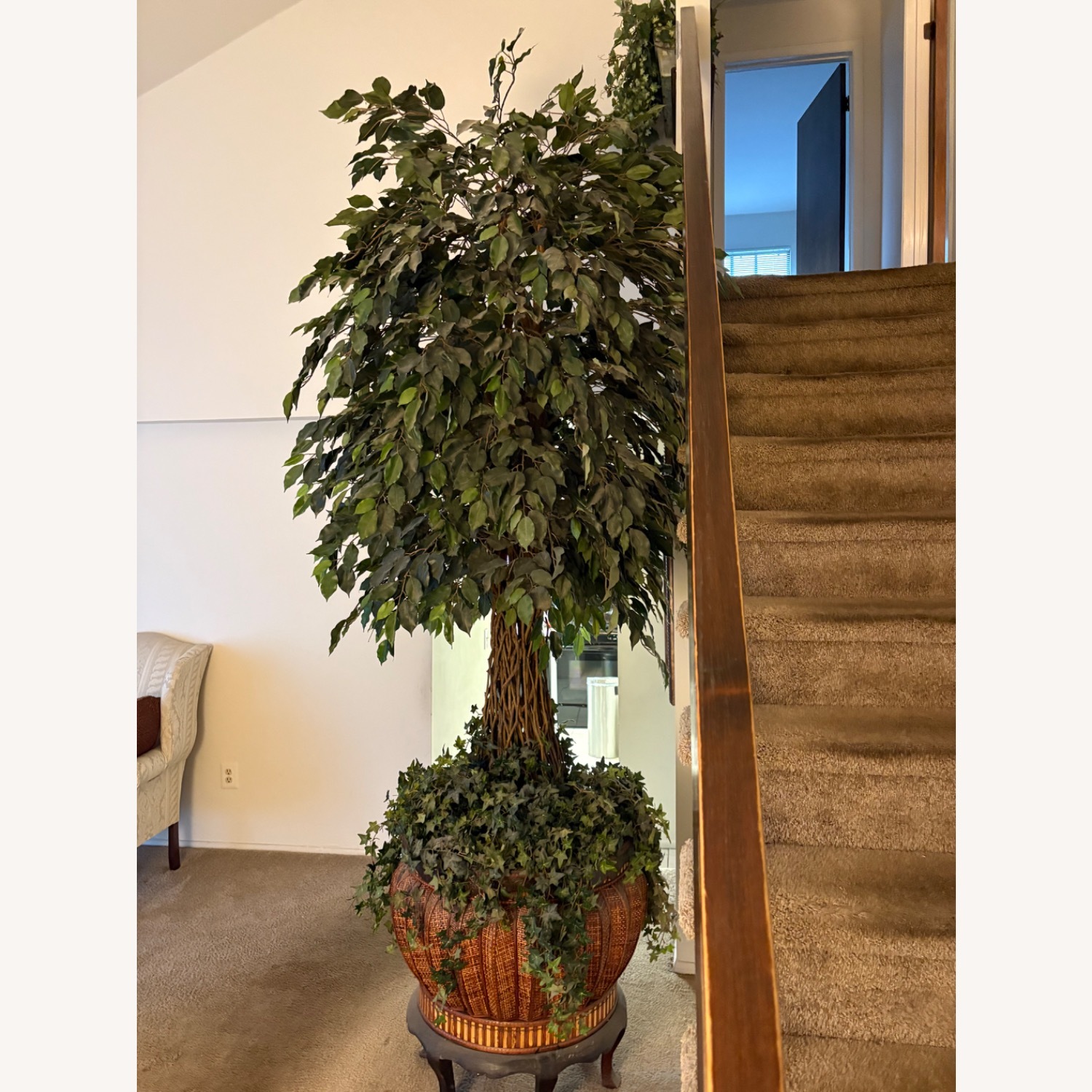 Taylor Made Custom Artificial Ficus Tree with Braided Trunk - image-6