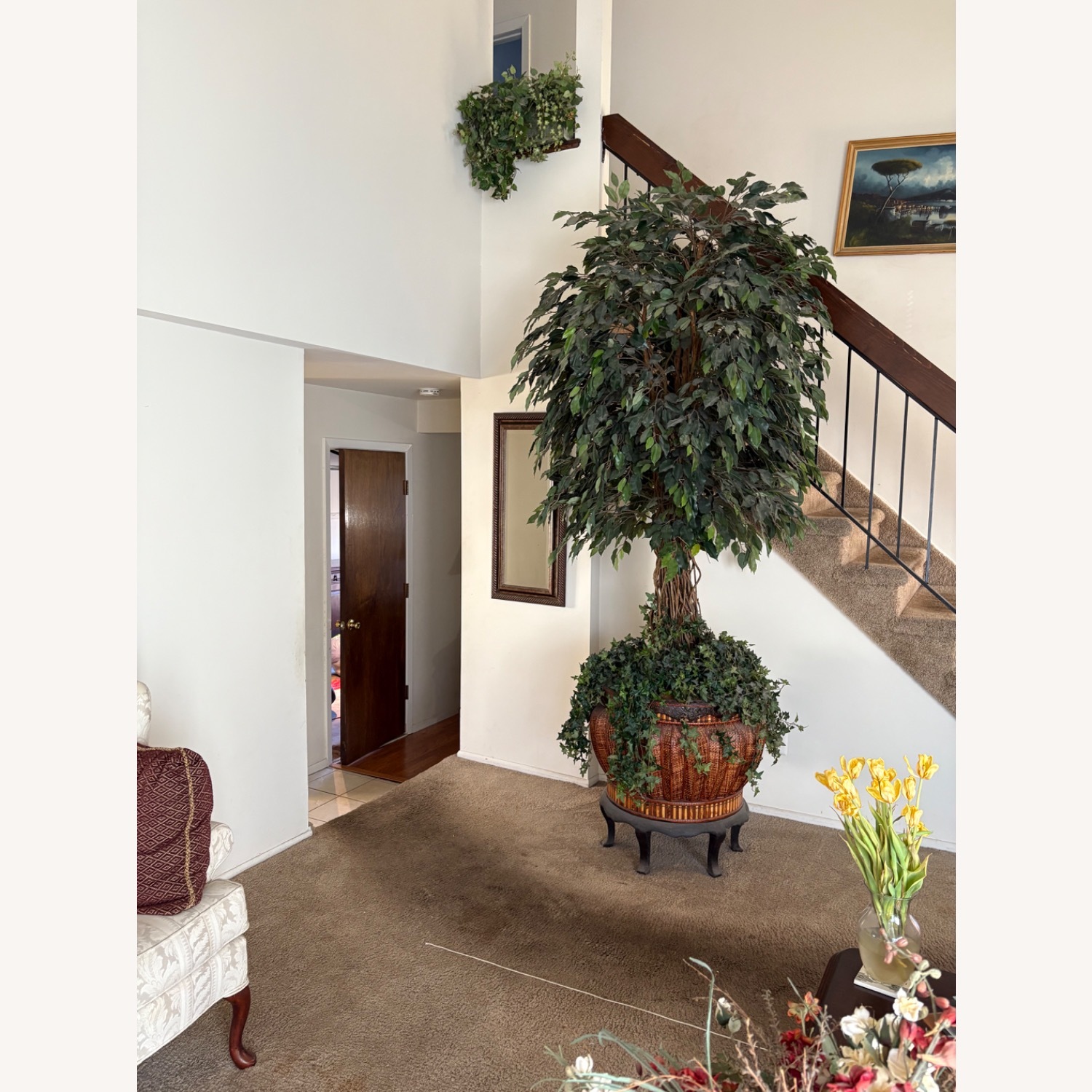 Taylor Made Custom Artificial Ficus Tree with Braided Trunk - image-1