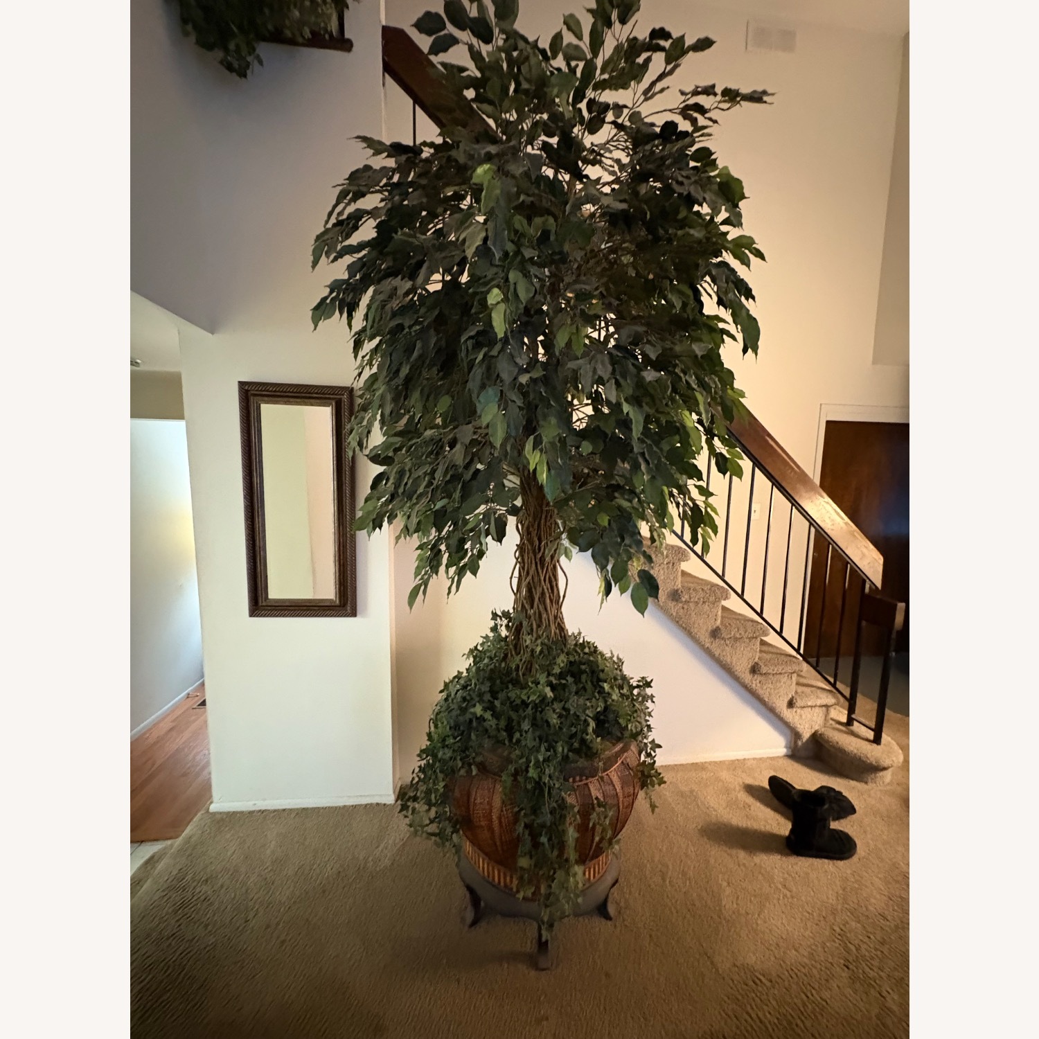 Taylor Made Custom Artificial Ficus Tree with Braided Trunk - image-3