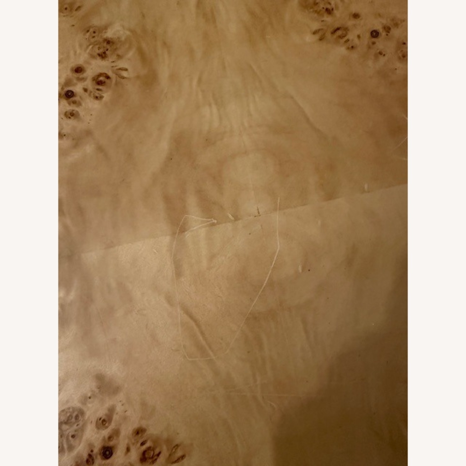 Wisteria Natural Wood Coffee Table - image-1