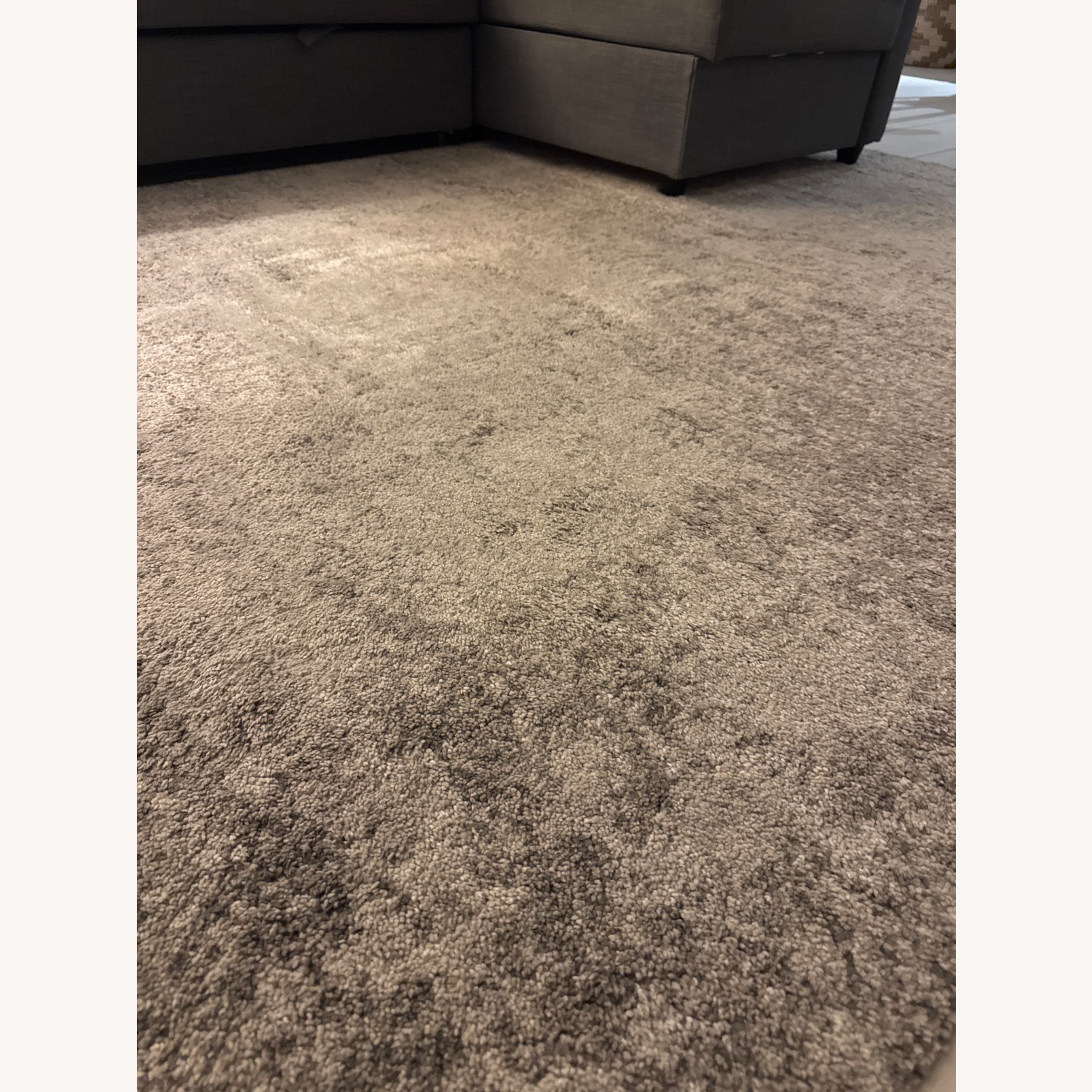 Gorgeous Light Gray Area Rug 5.7' x 7.1' - image-5