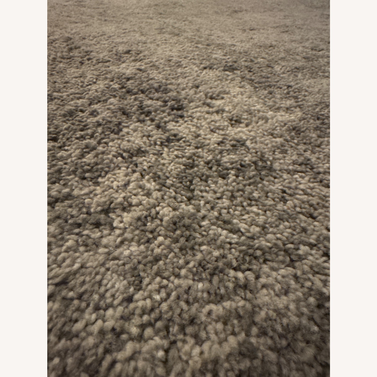 Gorgeous Light Gray Area Rug 5.7' x 7.1' - image-4