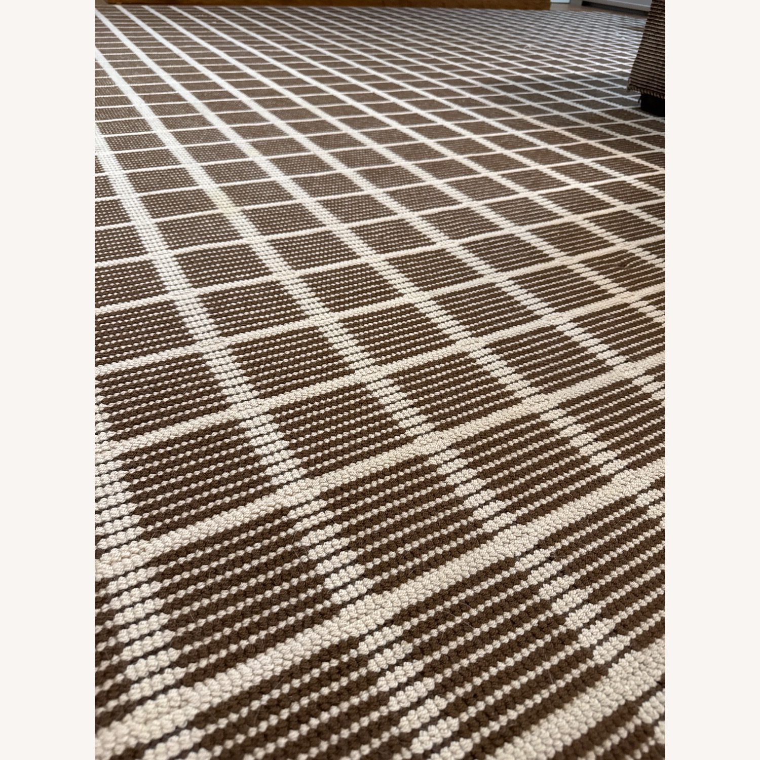 Large Brown Area Rug - image-4