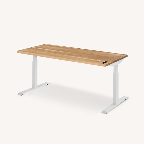 Used Ergonofis Sway Standing Desk + Desk Shelf for sale on AptDeco