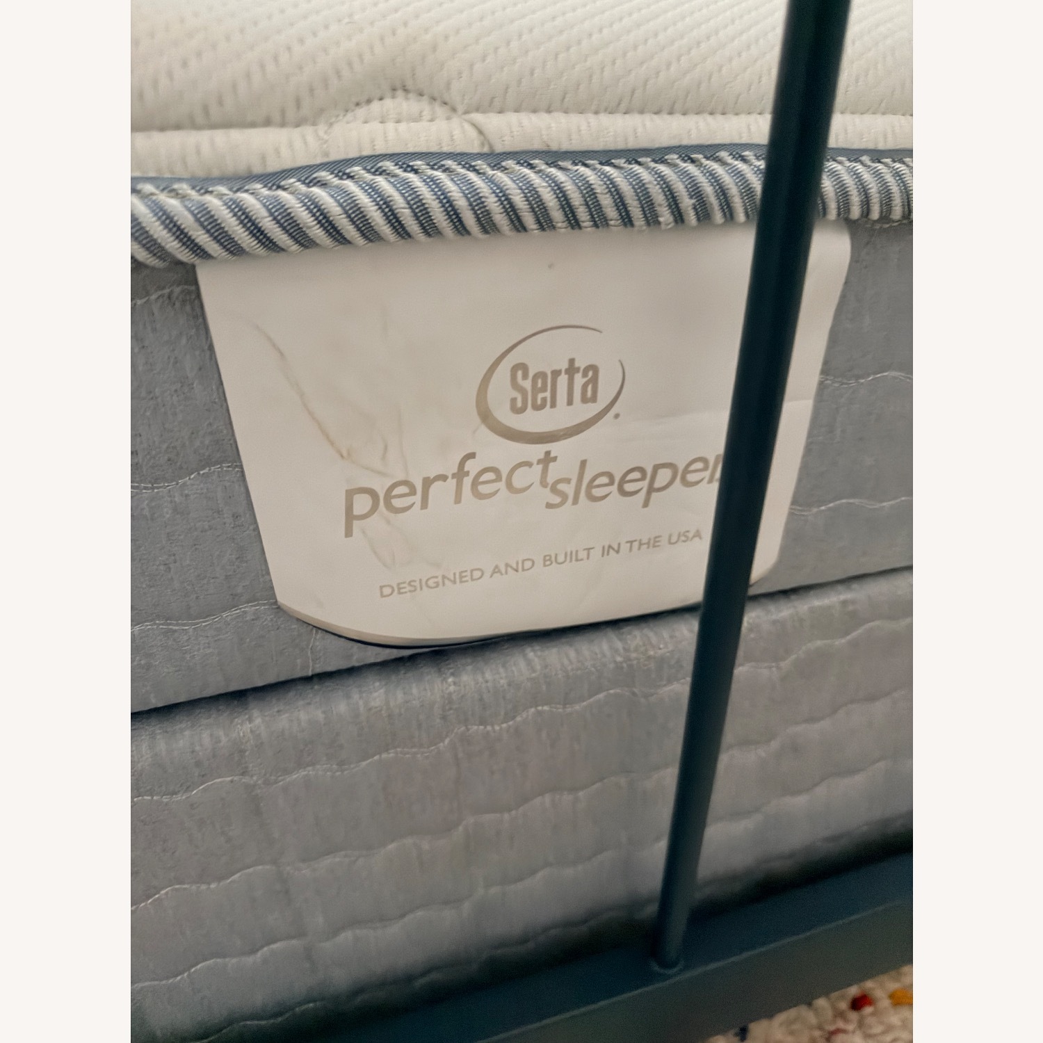 Crate & Barrel Blue Wrought Iron Full Bed - image-4