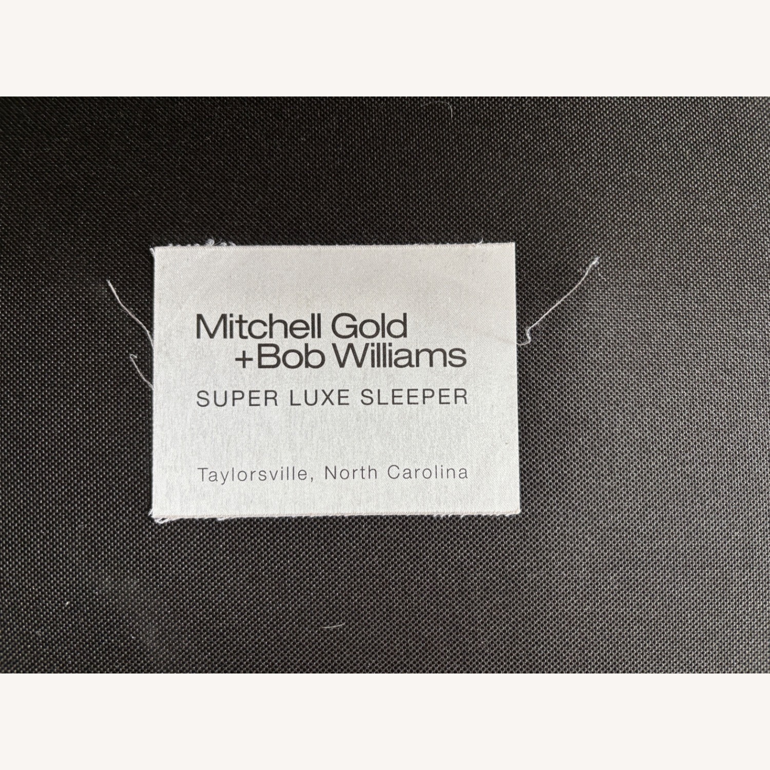 Mitchell Gold + Bob Williams Sleeper Sofa - image-7