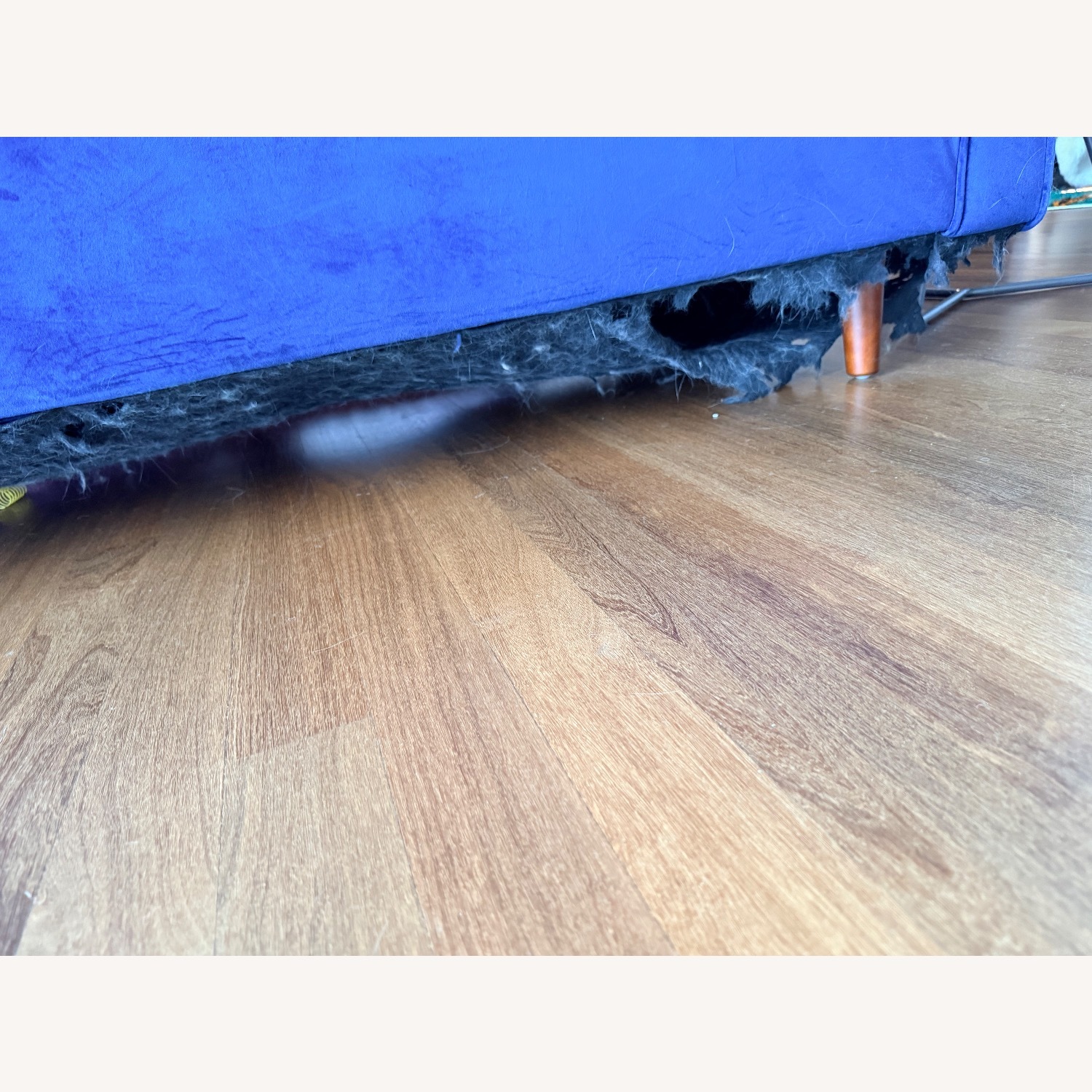 Article Sven Blue Velvet Sofa - image-4