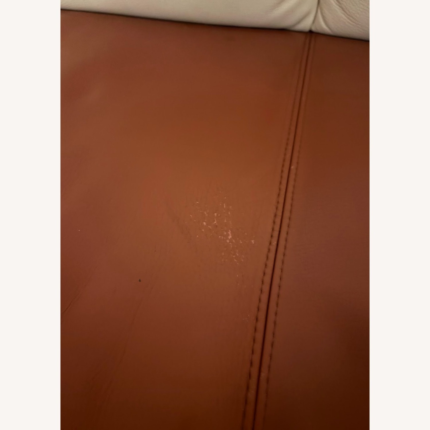 Koinor Leather 2 Piece Sectional - image-4