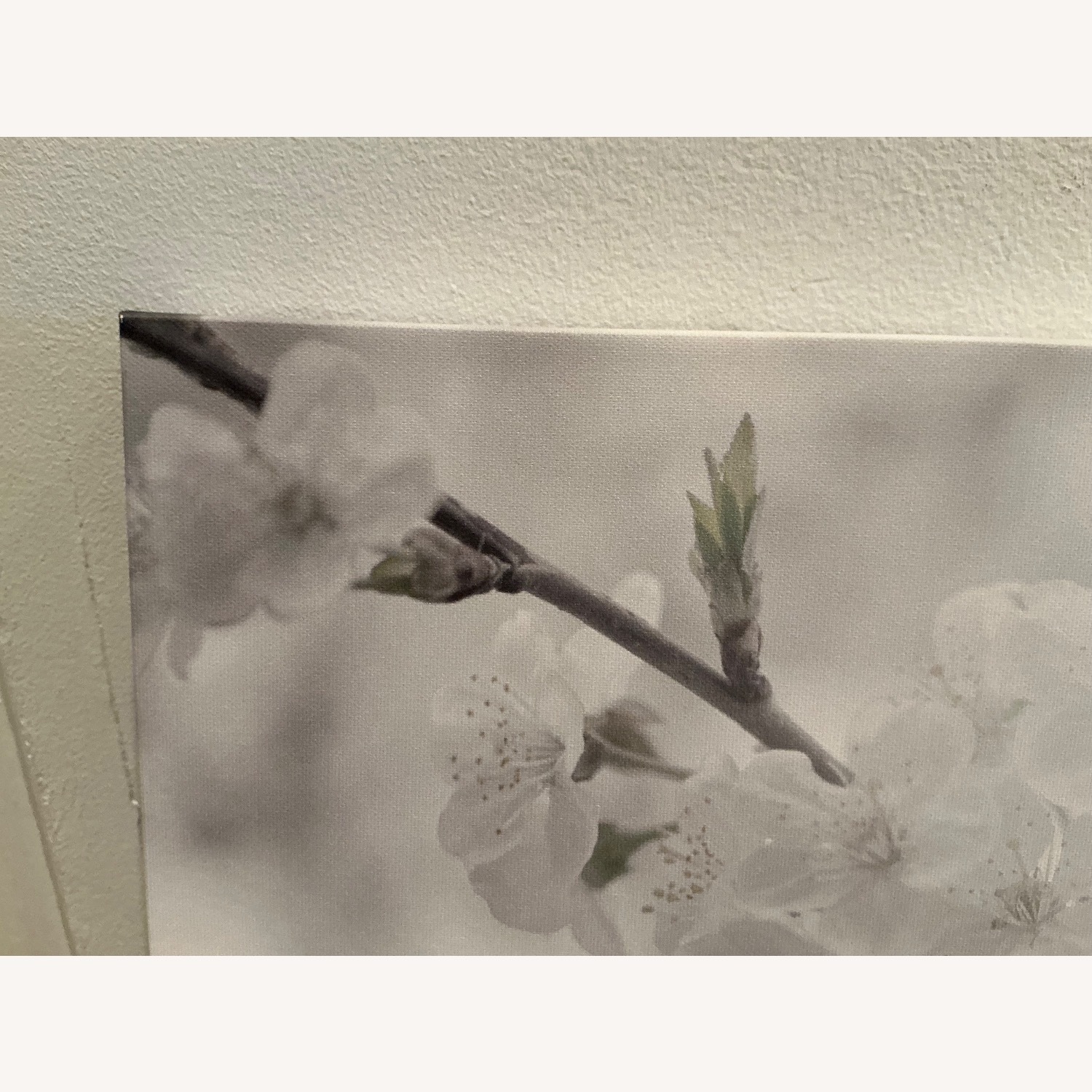 Flowers on Canvas Print - image-2