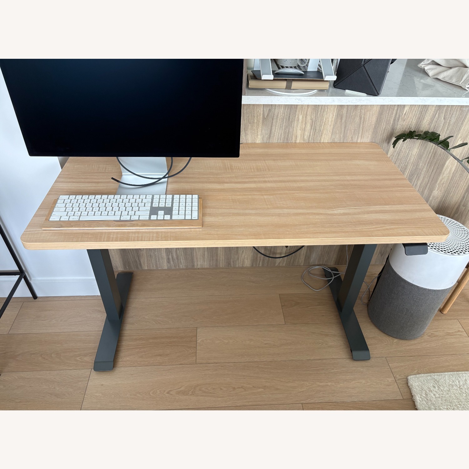 Branch Duo Sit/Standing Desk - image-3