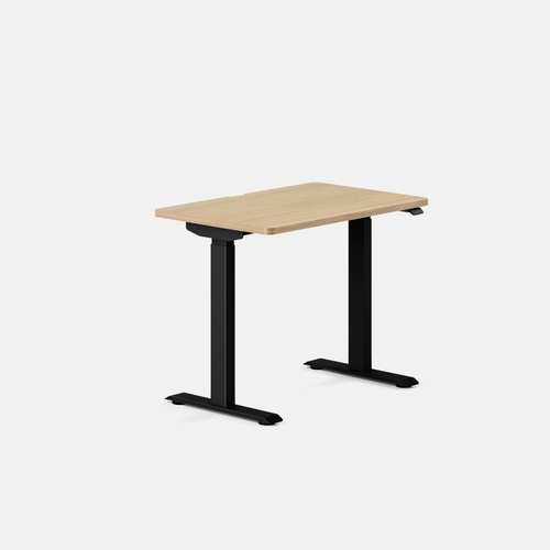 Used Branch Duo Sit/Standing Desk for sale on AptDeco