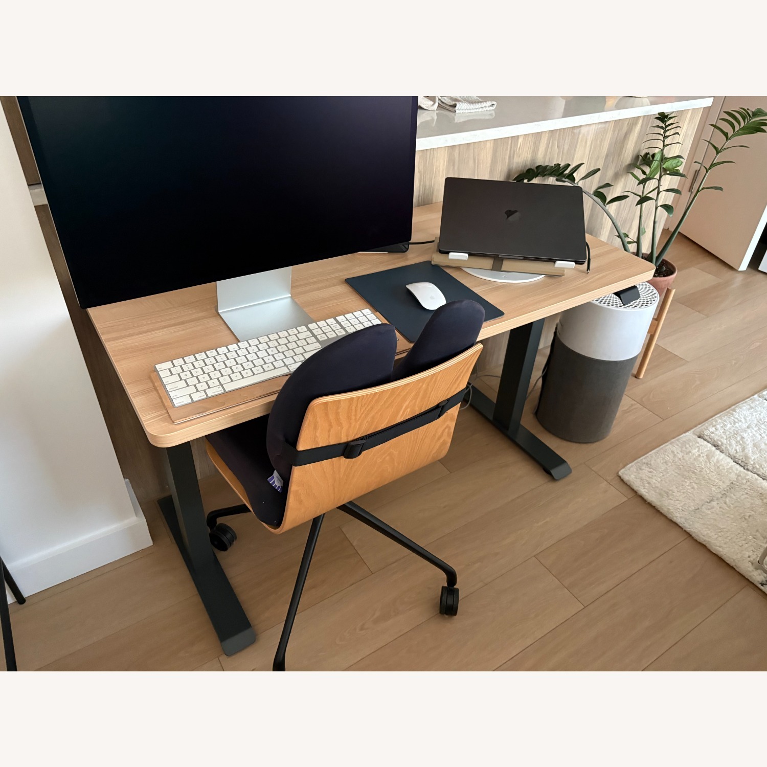 Branch Duo Sit/Standing Desk - image-2