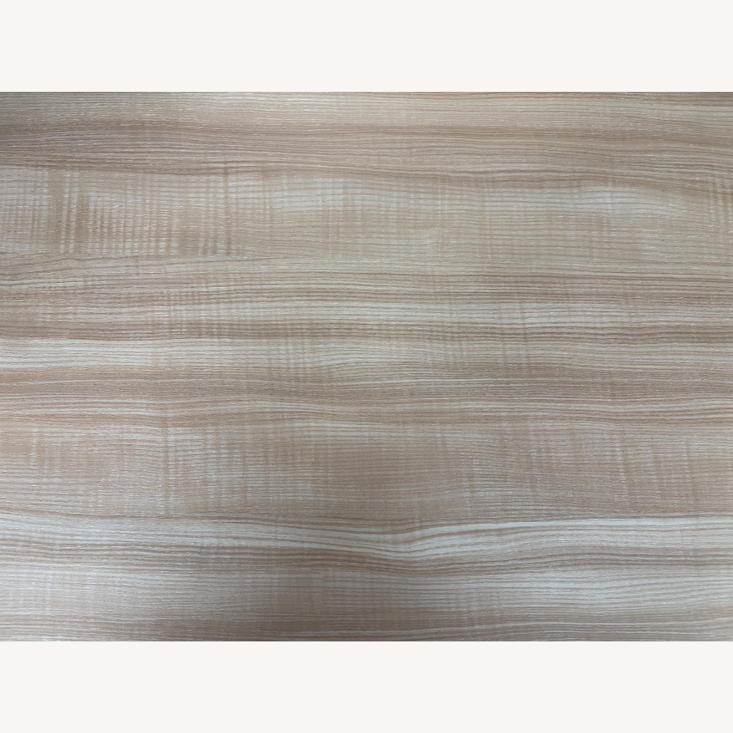 Branch Duo Sit/Standing Desk - image-4