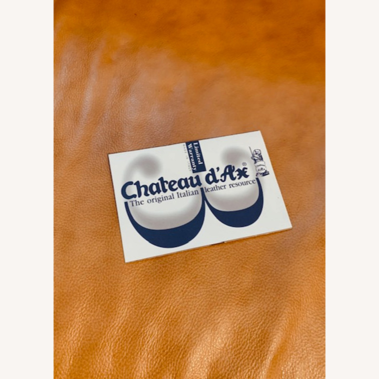 Chateau d' Ax Italian Leather Loveseat 2 Seater - image-7