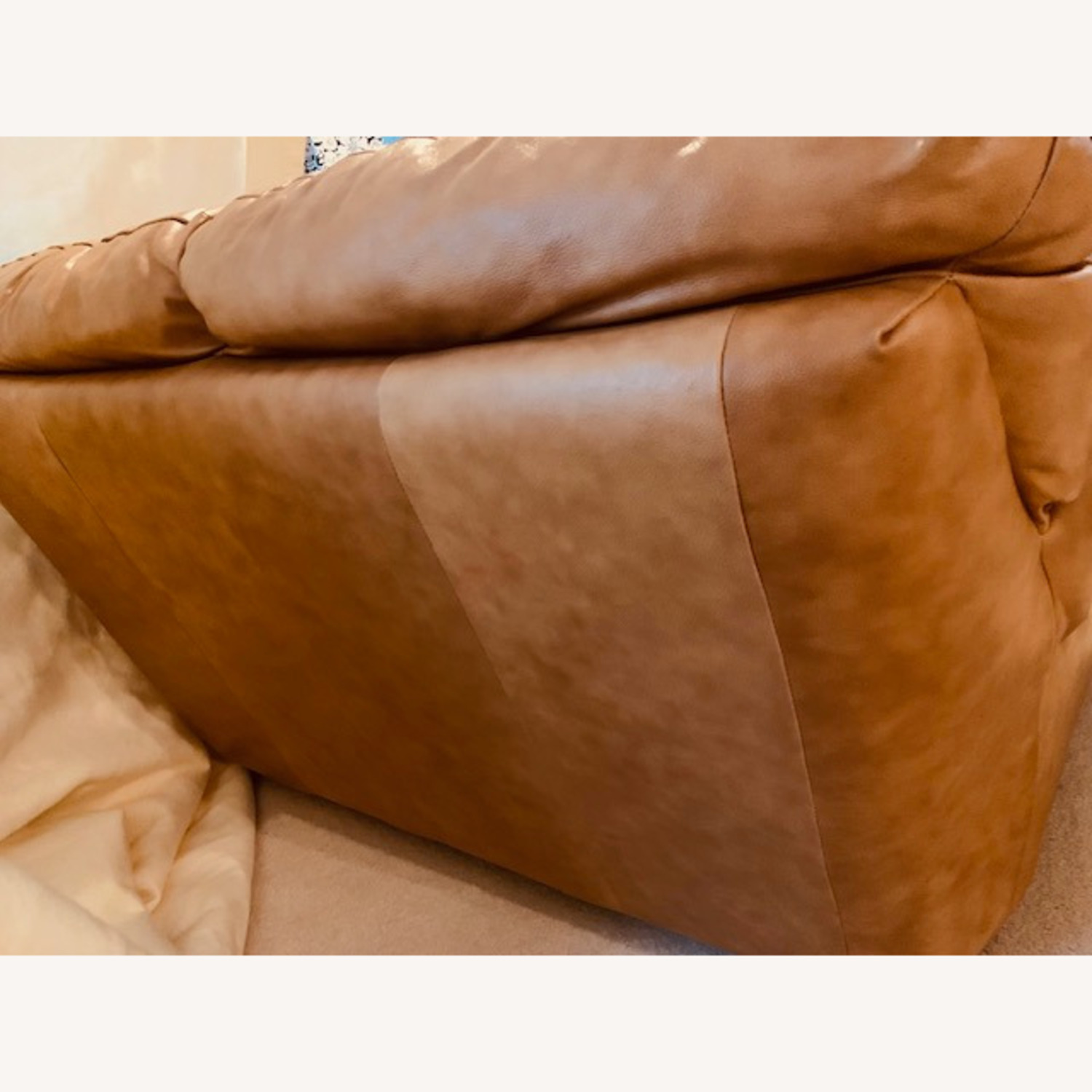 Chateau d' Ax Italian Leather Loveseat 2 Seater - image-3