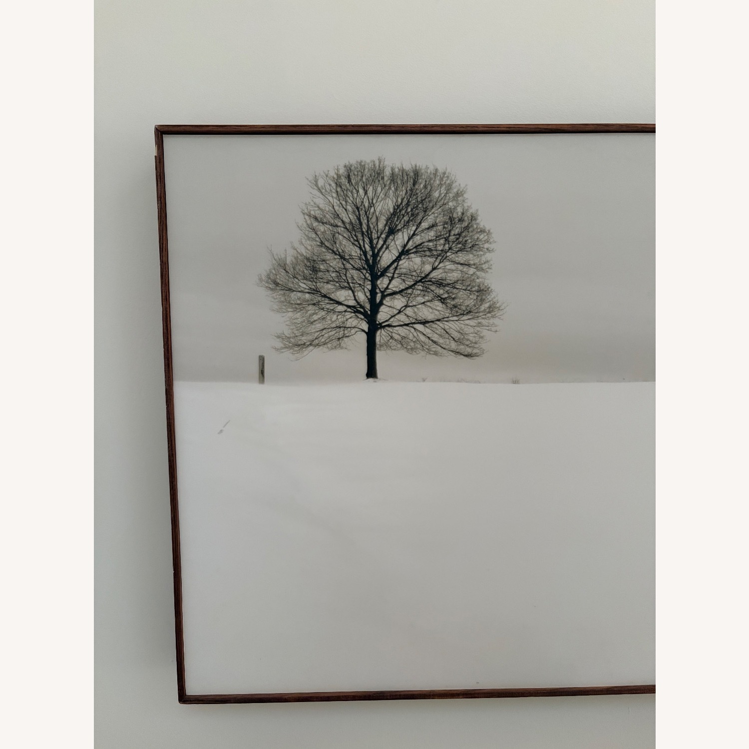 Natural Wood Wall Art - image-3