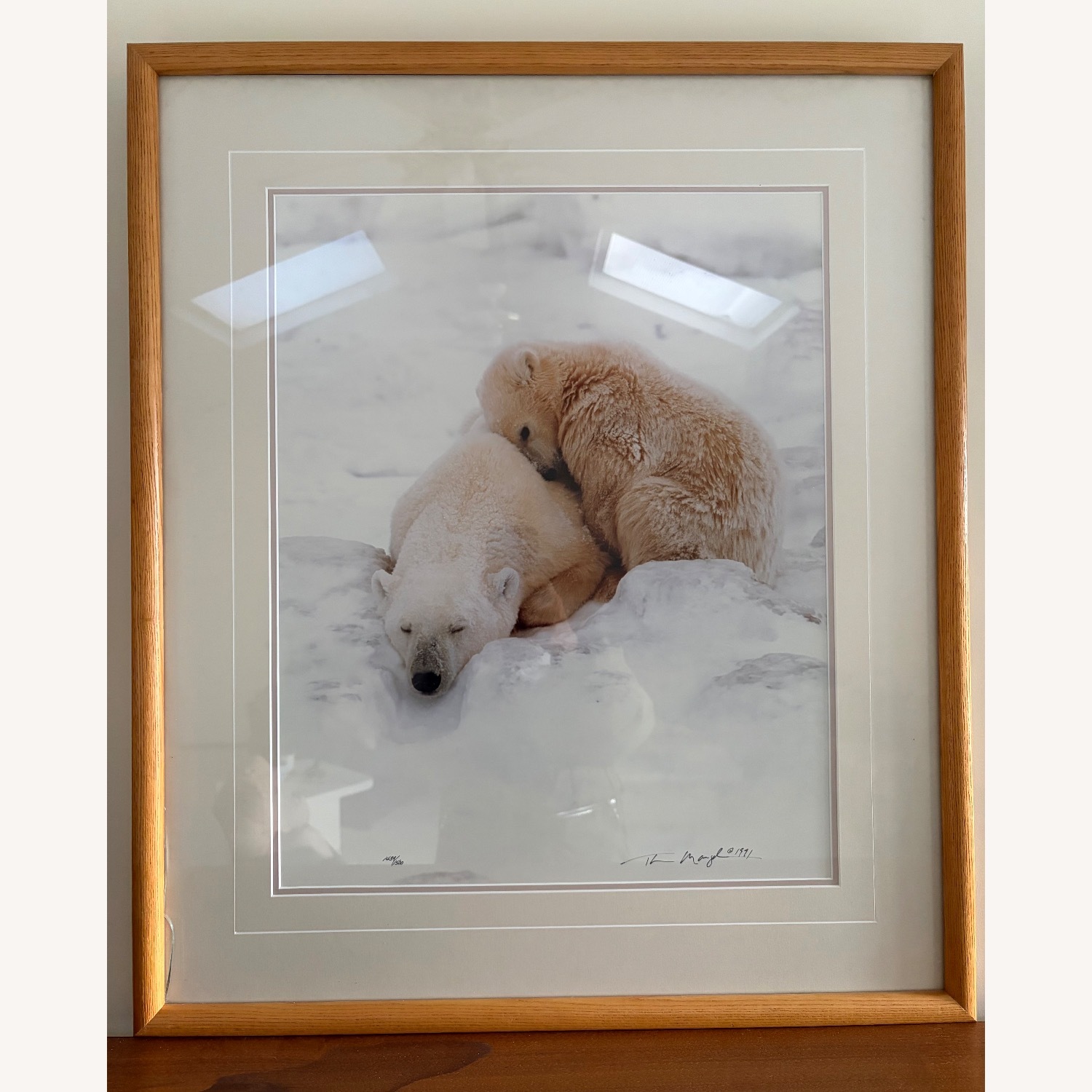 Bears in Snow Wall Art - image-1