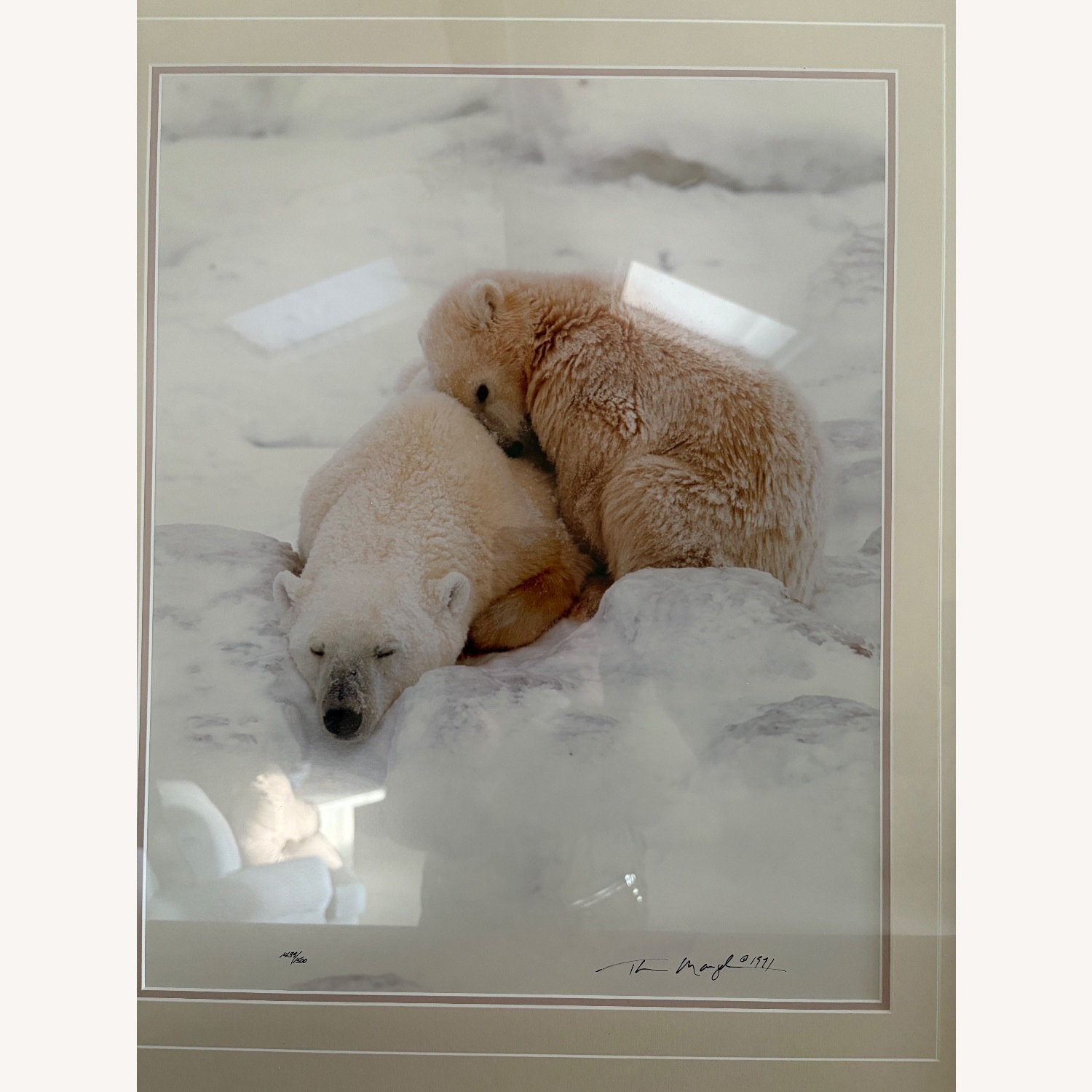 Bears in Snow Wall Art - image-4