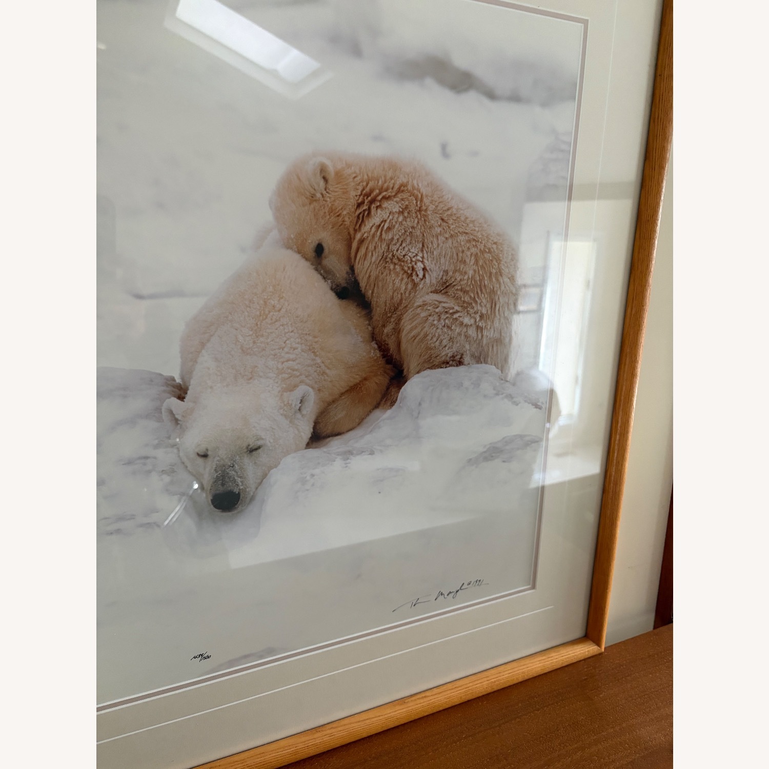 Bears in Snow Wall Art - image-3