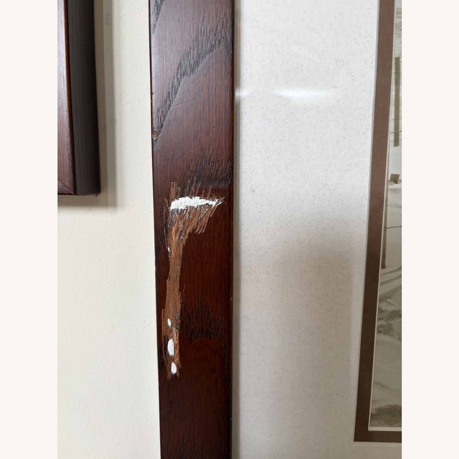 Beach Photography - image-5