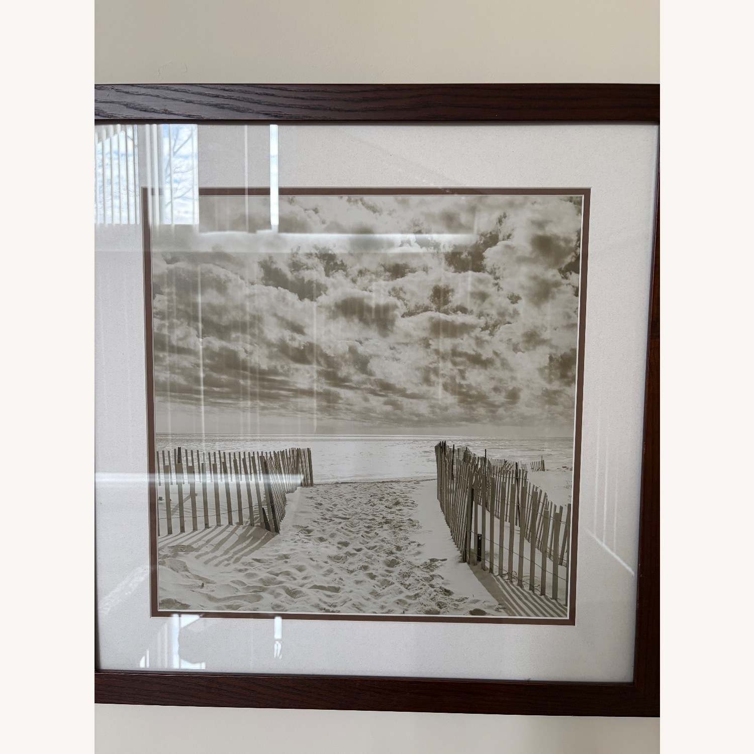 Beach Photography - image-3