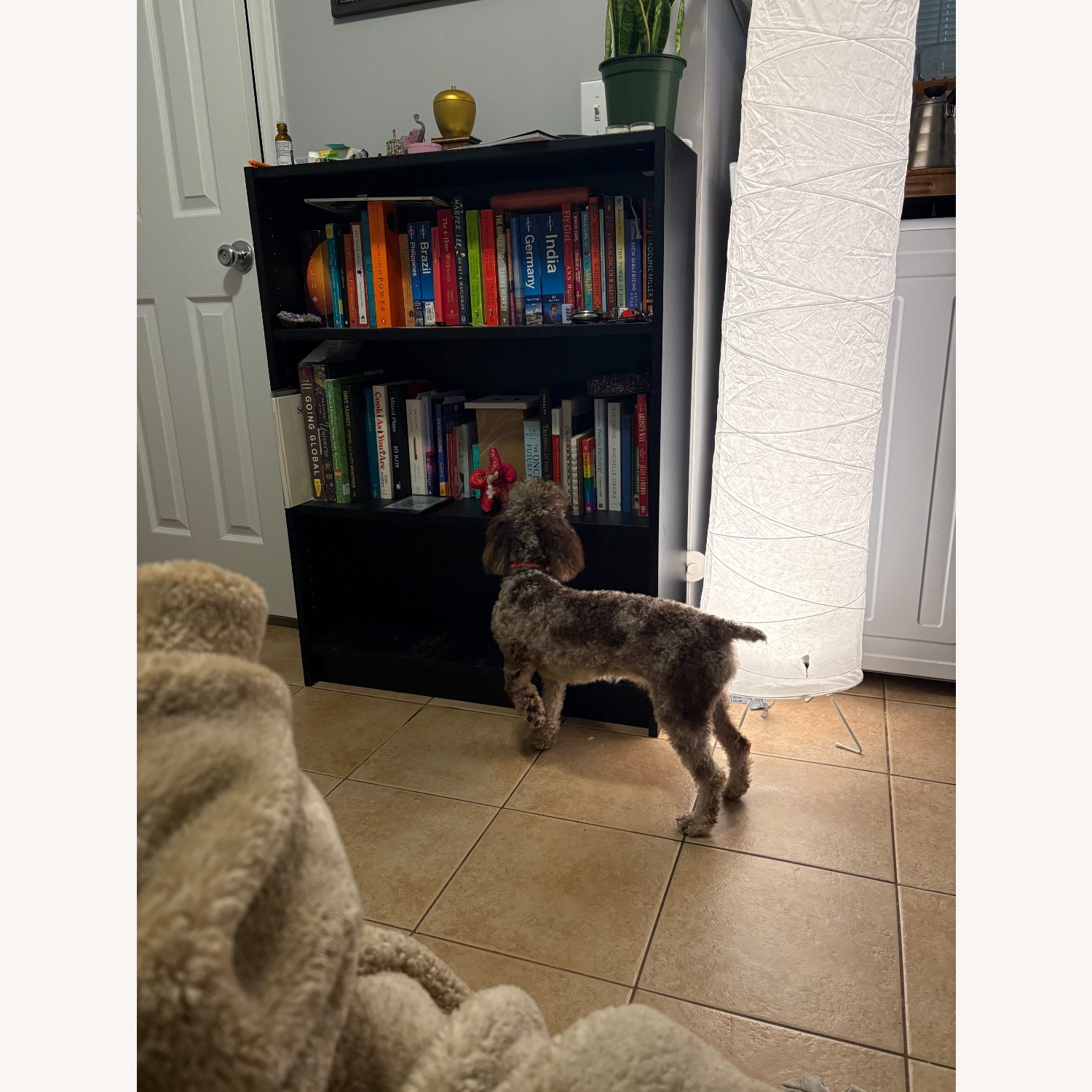 IKEA 3 Tier Black Bookshelf - image-3