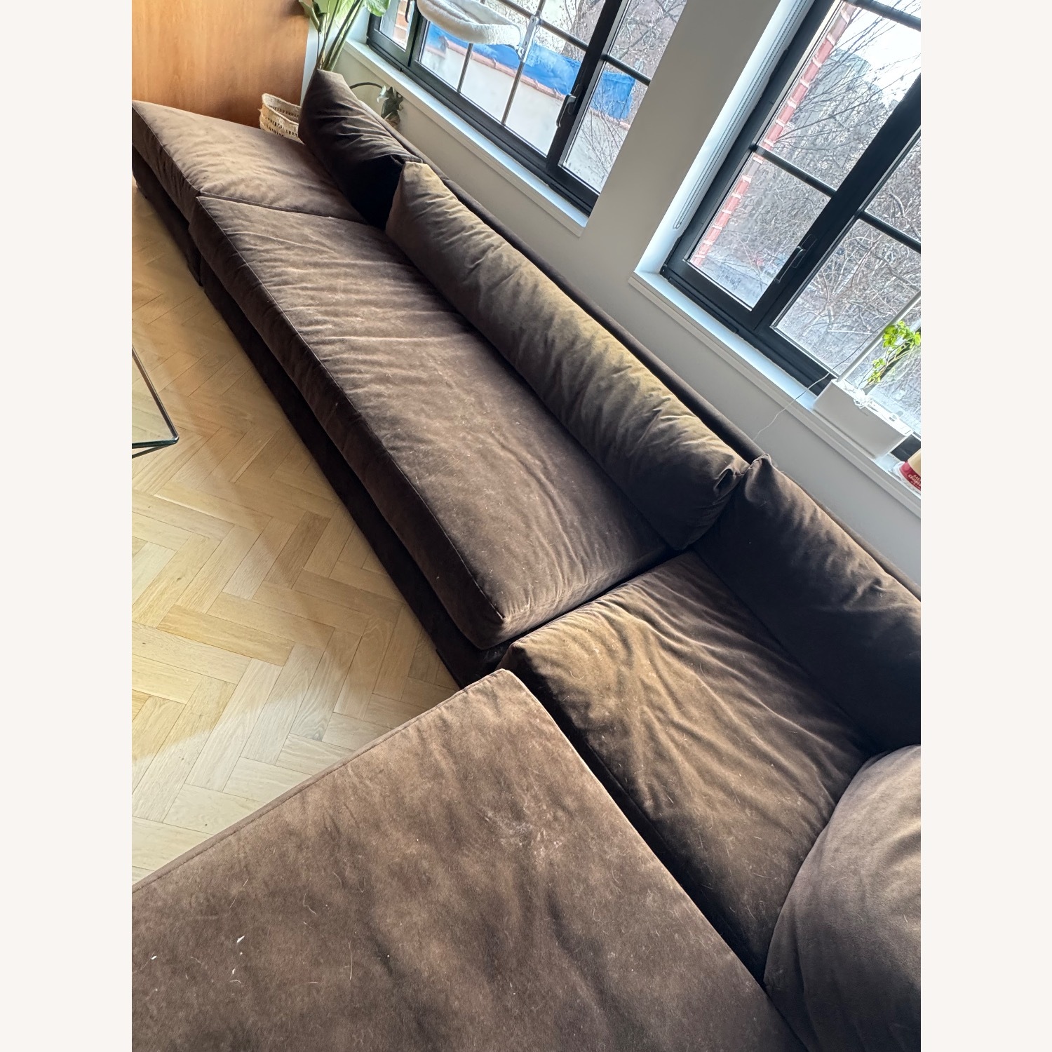 CB2 Deseo Dark Brown 3+ Piece Sectional - image-3