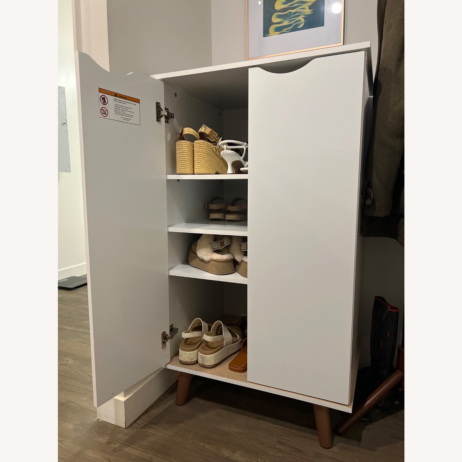 Wayfair Hampton 24 Pair Shoe Storage Cabinet - image-4