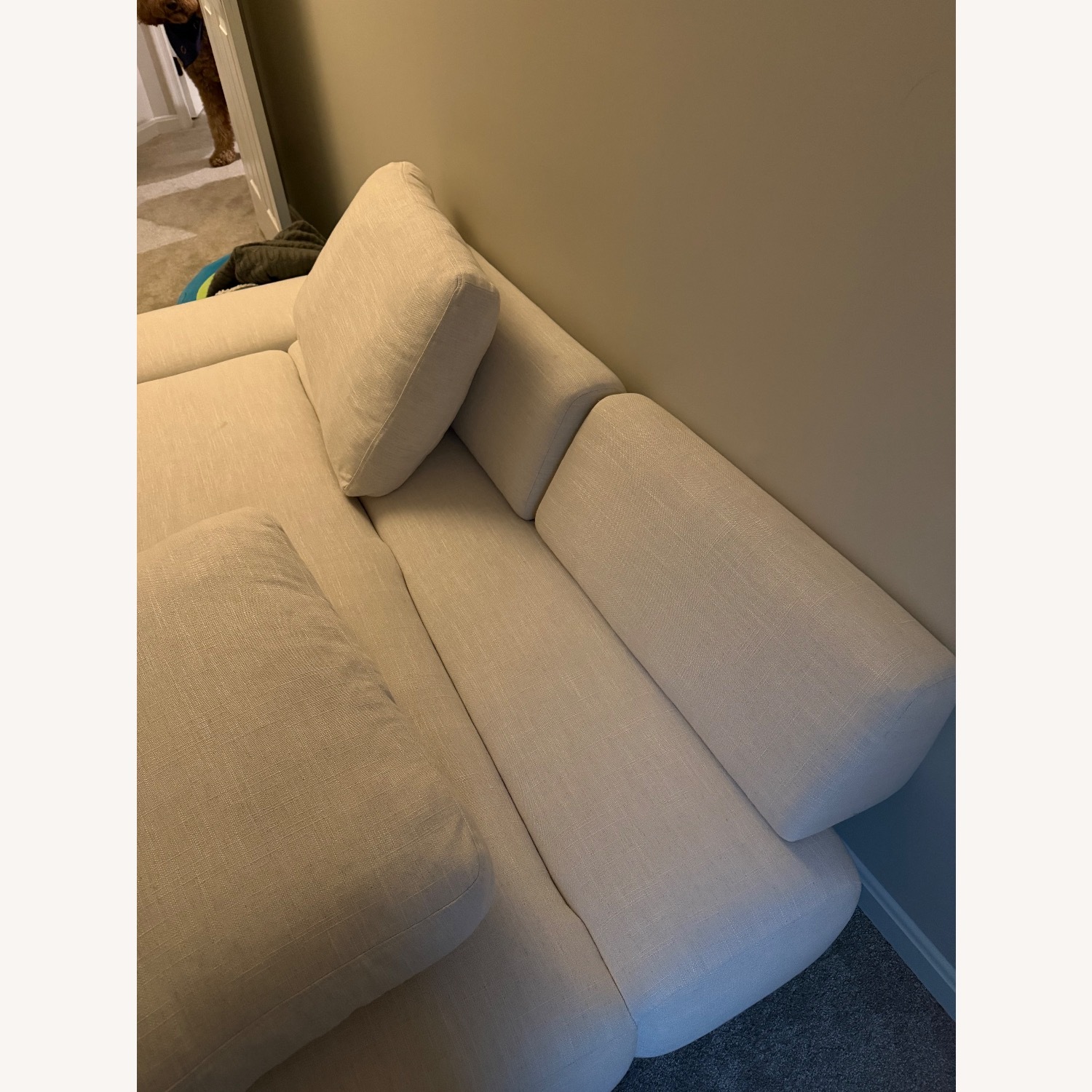 Article Divan Sleeper Sofa - image-2