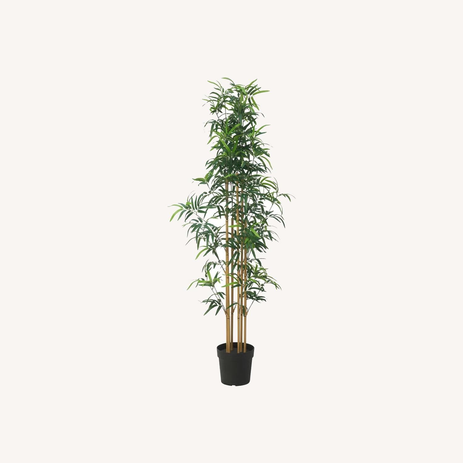 IKEA Fejka Plastic Plant/Bamboo - image-0