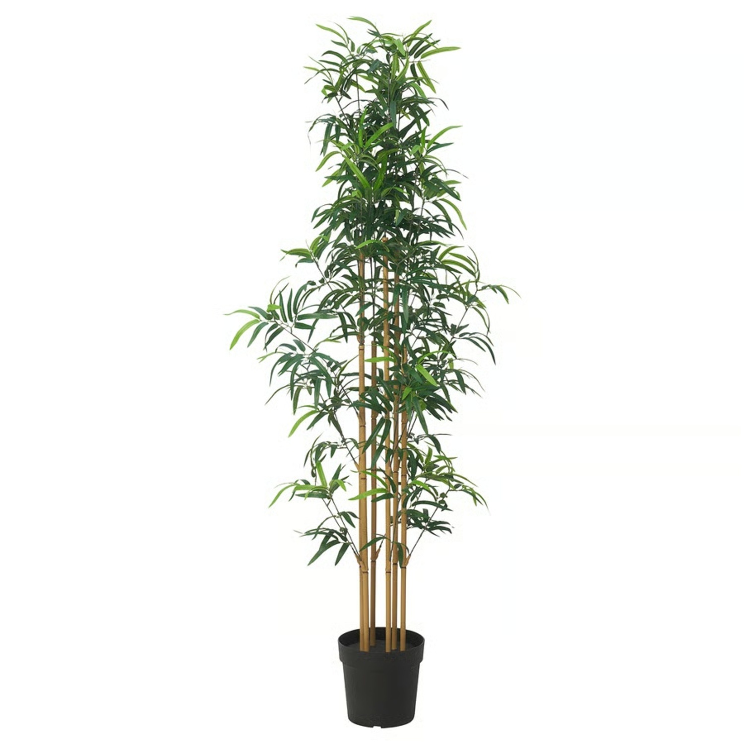 IKEA Fejka Plastic Plant/Bamboo - image-0