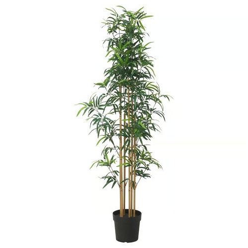 Used IKEA Fejka Plastic Plant/Bamboo for sale on AptDeco