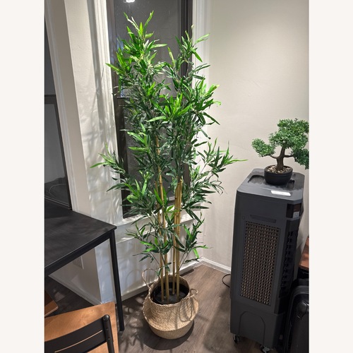 Used IKEA Fejka Plastic Plant/Bamboo for sale on AptDeco