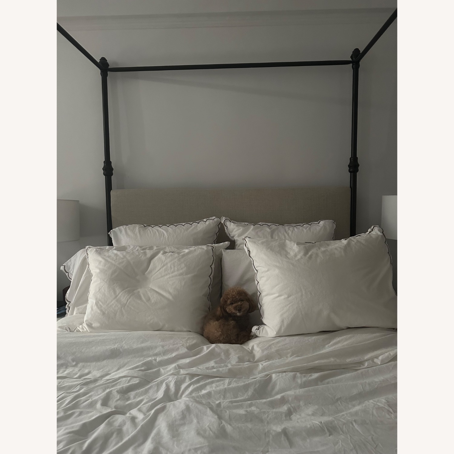 Pottery Barn Antonia Dark Brown Aluminum Queen Bed - image-1