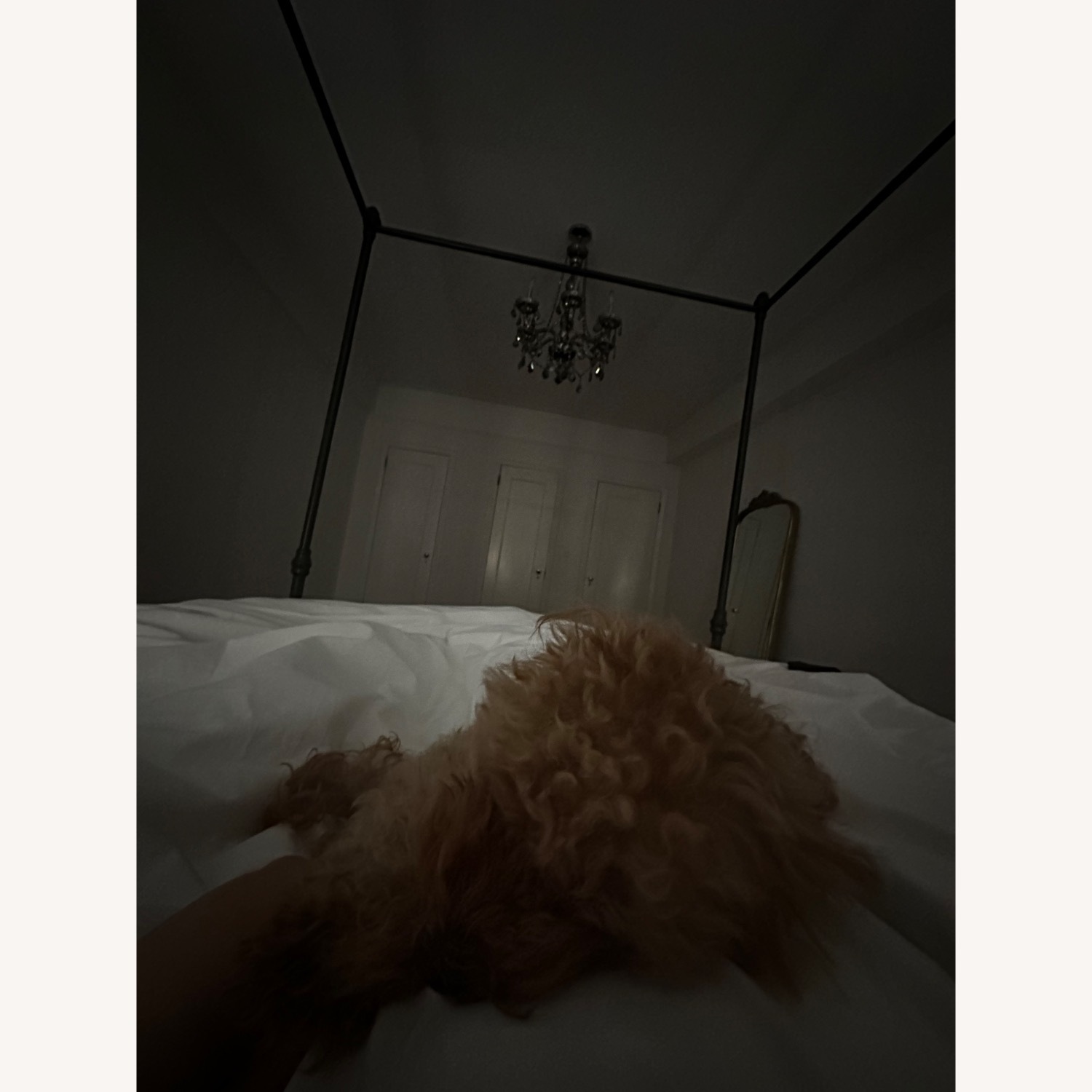 Pottery Barn Antonia Dark Brown Aluminum Queen Bed - image-3