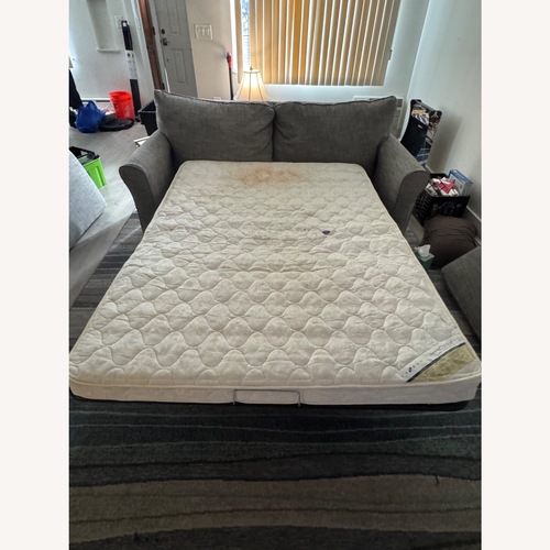 Used Pull Out Sofa for sale on AptDeco