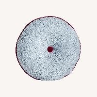 Anthropologie Alina M Blue Boucle Pillow