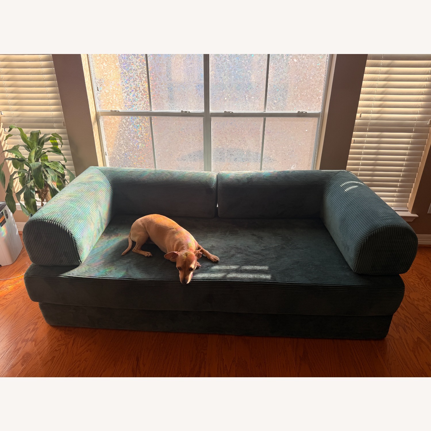 Yinix Green Sleeper Sofa - image-2