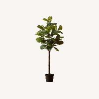 CB2 Exclusive Faux Fiddle Leaf Fig Tree (72”)