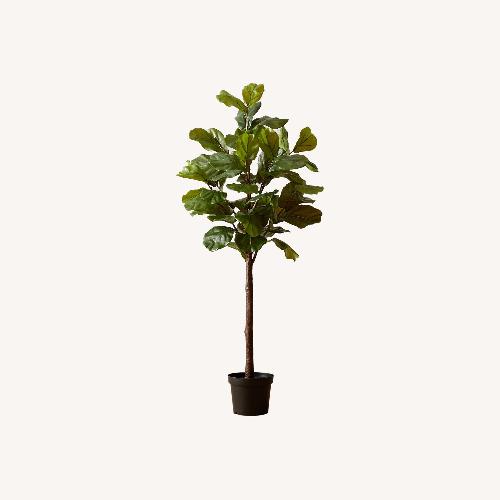 Used CB2 Exclusive Faux Fiddle Leaf Fig Tree (72”) for sale on AptDeco