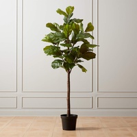 CB2 Exclusive Faux Fiddle Leaf Fig Tree (72”)