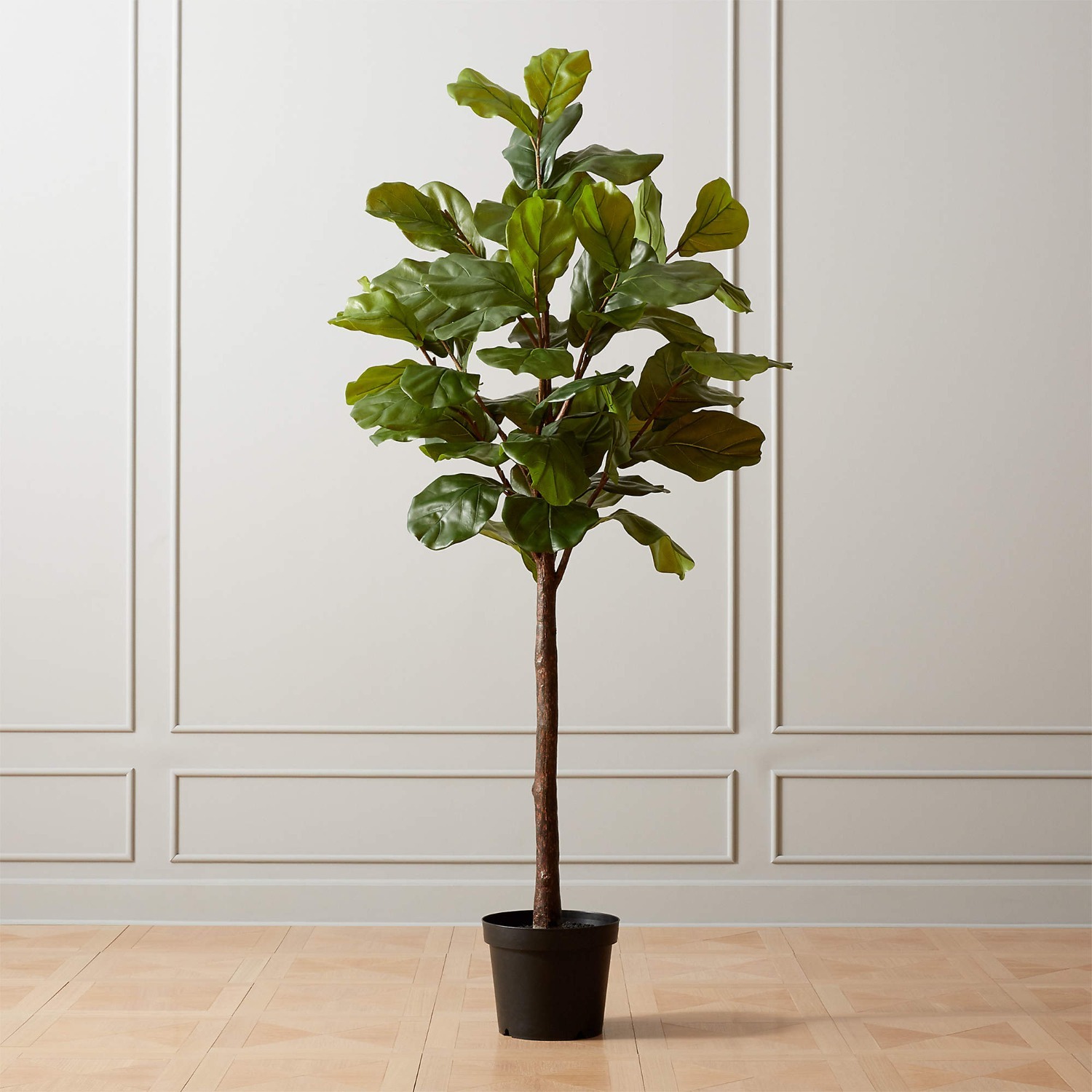 CB2 Exclusive Faux Fiddle Leaf Fig Tree (72”) - image-1
